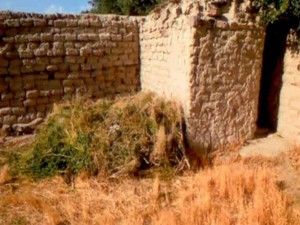 Jandarma'dan uyuşturucu operasyonu