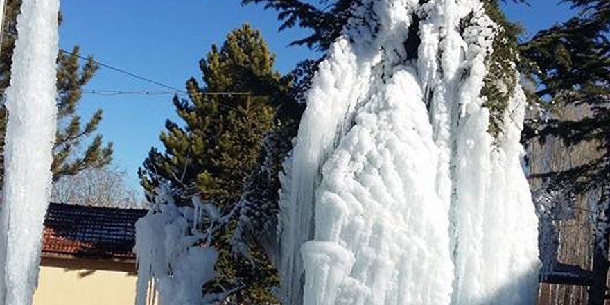 Beyşehir’de ağaçlar buz tuttu