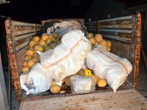 Esrarı, kavunların arasına gizlemişler