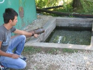 Tüp bebek ikizlerini havuz ayırdı