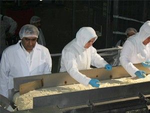 Dondurulmuş patates ihracatını 10'a katladık