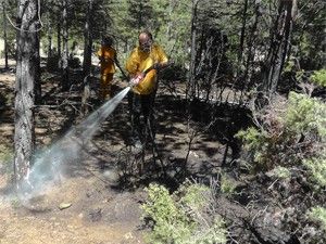 Beyşehir'de ormanlık alanda yangın