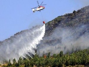 İzmir'de orman yangını