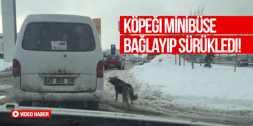 Köpeği minibüse bağlayıp sürükledi!