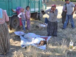 Seydişehir'de trafik kazaları: 8 yaralı