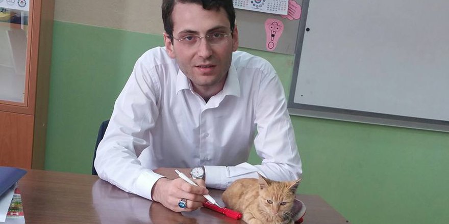 Öğrenciler ‘kedili eğitim’i sevdi