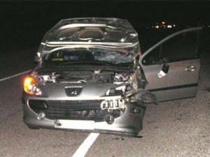 Trafik terörü 13 can aldı