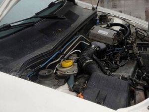 Fare ısırığı sigorta kapsamında