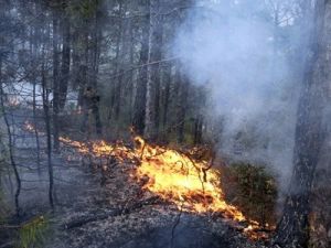 Yangın kontrol altında