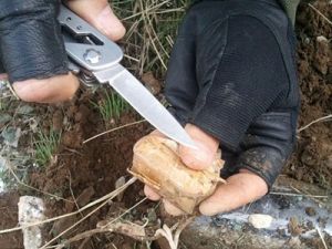Kocaeli'de terör operasyonu