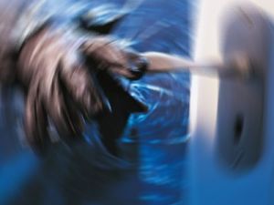 Kablo hırsızı bahçedeki domatesi yedi