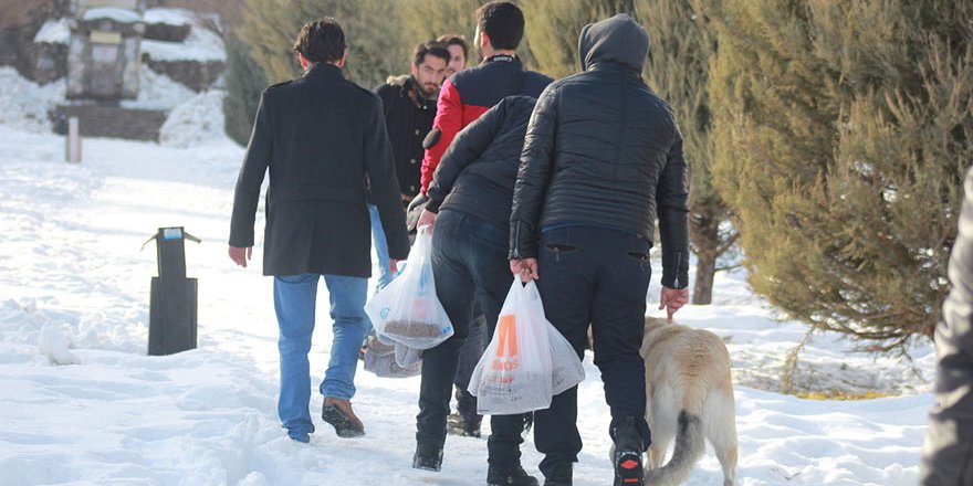 Üniversite öğrencileri sokak hayvanlarını unutmadı