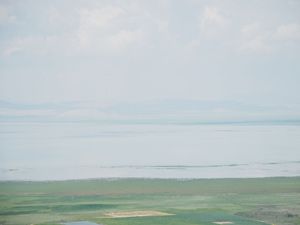 Akşehir Gölü'ne 50 bin yavru sazan bırakılacak