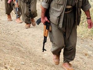 Şemdinli'de 350 terörist öldürüldü