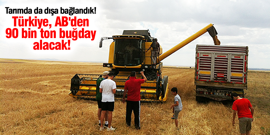 Türkiye AB'den 90 bin ton buğday alacak