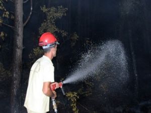 Marmaris'te yangın