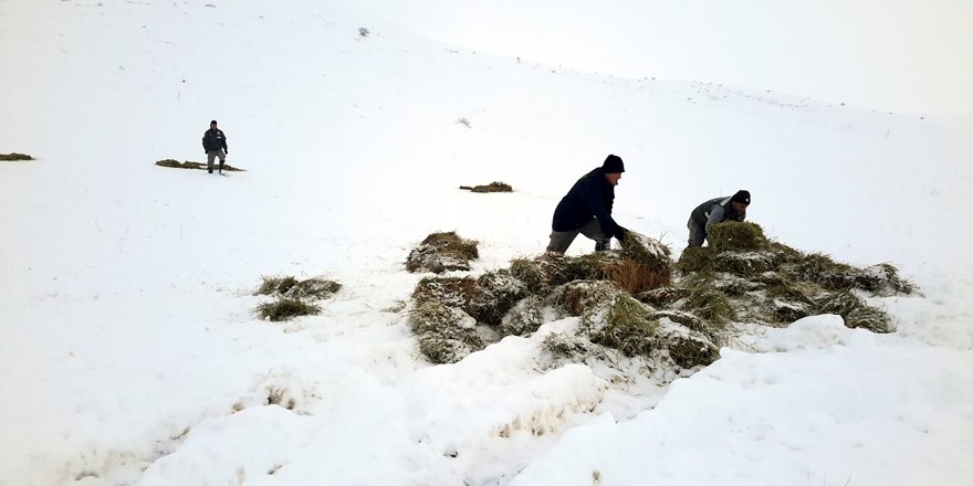 Yaban hayvanlarına yem için seferber oldular