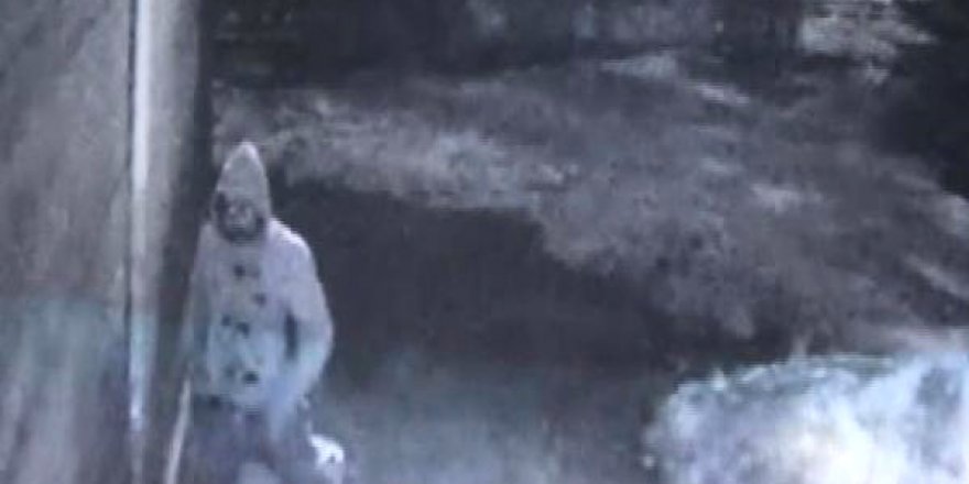 Sarhoş hırsızlar kamerayı kırmayı unuttu