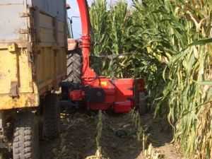 Ereğli'de iş kazası: 1 ölü