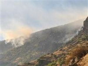 Hakkari'de 25 terörist öldürüldü