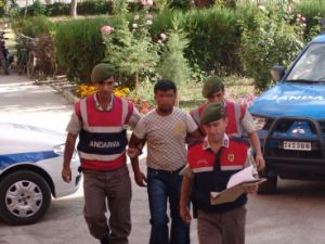 Koyun hırsızı yakalandı