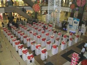 Kalp yastığı sergisi