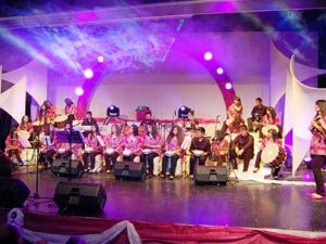 Özel Diltaş Lisesi öğrencilerinden konser