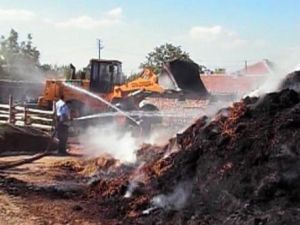 60 ton saman kül oldu