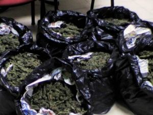 Konya'da 40 kilo esrar ele geçirildi