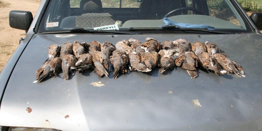 Konya'da yasa dışı kara avcılığına ceza