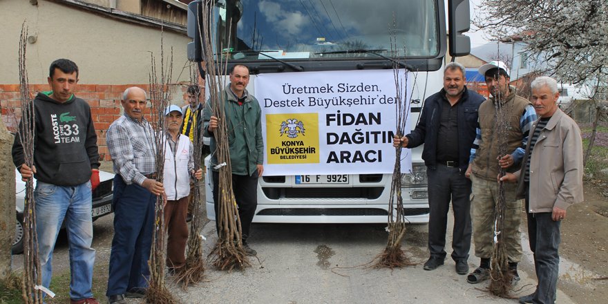 Büyükşehir'den fidan ve fide desteği