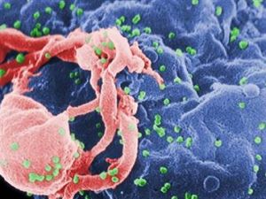 Mutasyon HIVin ilaç direncini kırıyor