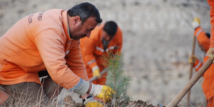 Konya’da 2016’da 9,6 milyon fidan toprakla buluştu