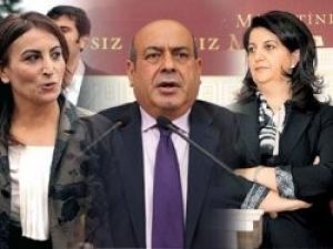 BDP'liler: Başbakan isterse iklim değişir