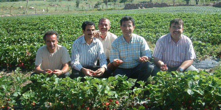 Organik tarım teşvik edilmeli