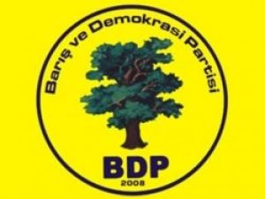 Bingöl'de BDP binasına saldırı