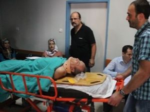 Ceviz ağacından düştü