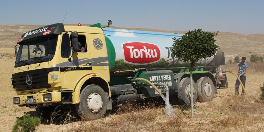 "Türkiye Nüfusu Kadar Ağaç" projesi ödül getirdi