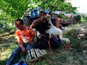 Yaralı leyleğe köylüler sahip çıktı
