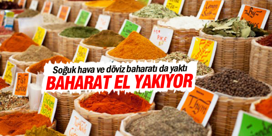 Döviz baharatı da yaktı