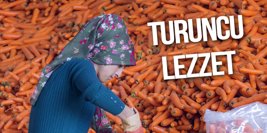 Turuncu lezzetin çileli yolculuğu