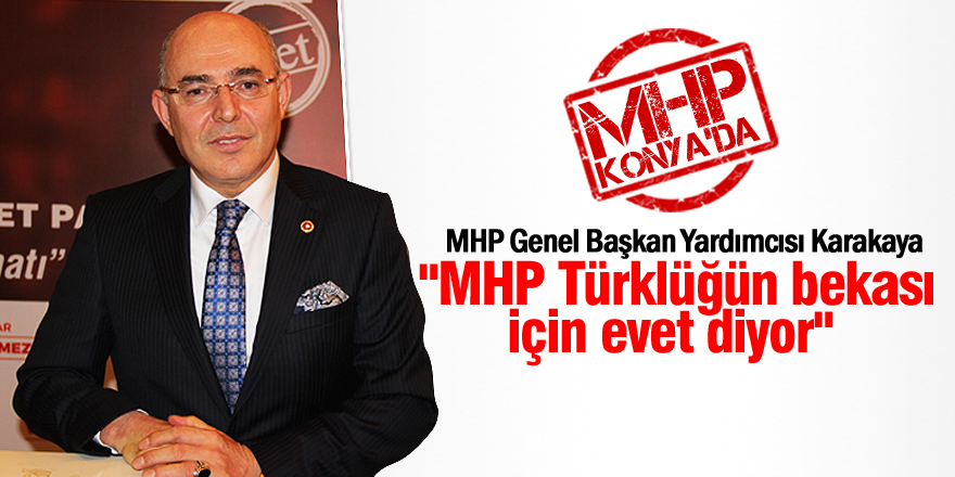 "MHP Türklüğün bekası için evet diyor"