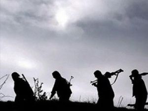 Vatandaş PKK'nın planını bozdu