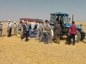 Anıza ekimin ilk denemesi yapıld