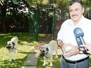 Amaç yaşatmak