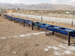 Kurban satış ve kesim yerleri belli oldu
