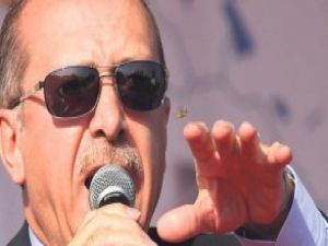 Başbakan'ın arı ile imtihanı!