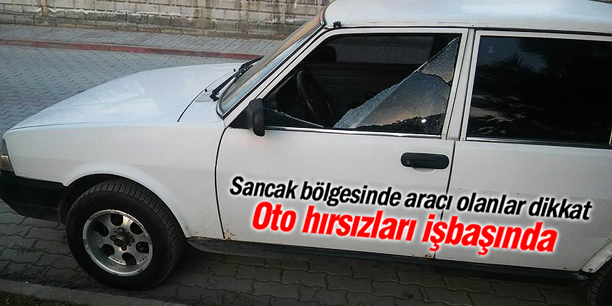 Oto hırsızları işbaşında