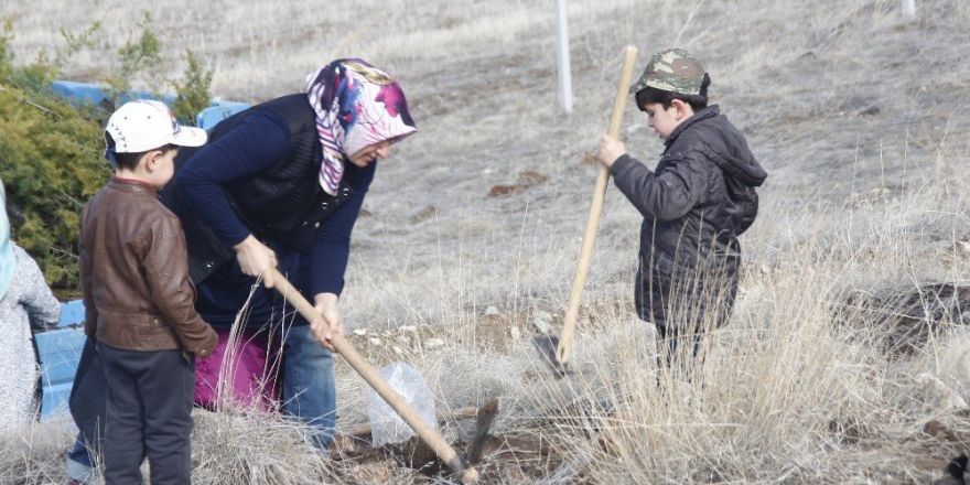 Yunak’ta fidanlar toprakla buluştu