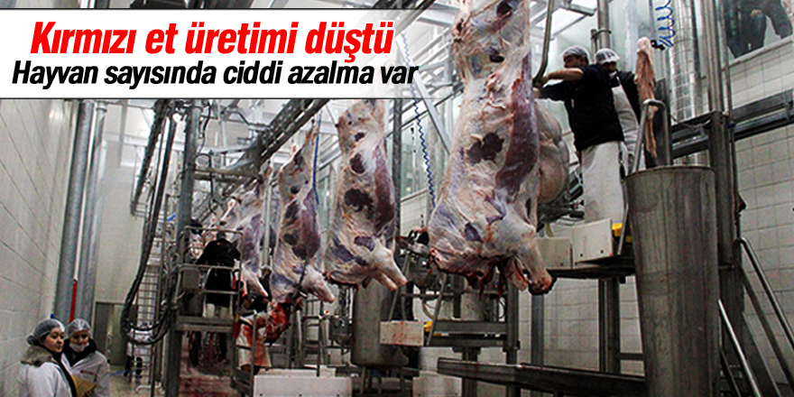 Kırmızı et üretimi düştü